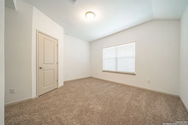 a view of a backyard with plants