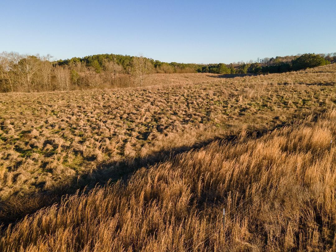 0 Busby Church Road Nauvoo, AL 35578 - Photo 8 of 24 Gallery Image 8
