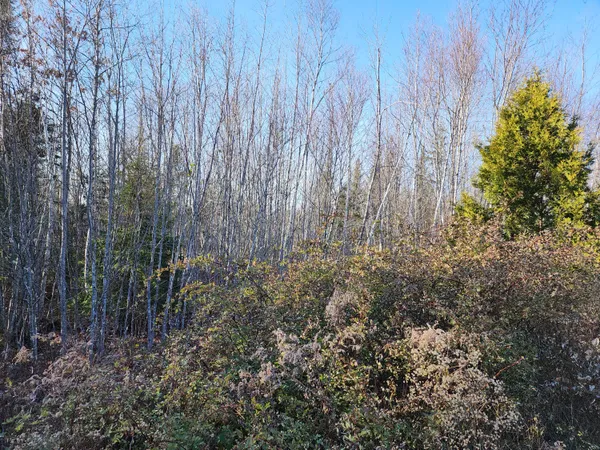 $49,900 | 35 Trout Brook Lane, Searsport, ME 04974