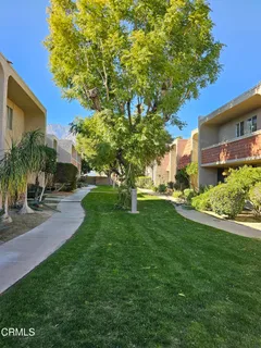 a view of a yard with plants and a large tree