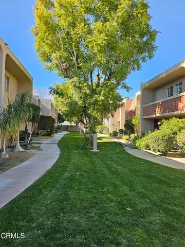 a view of a yard with plants and a large tree