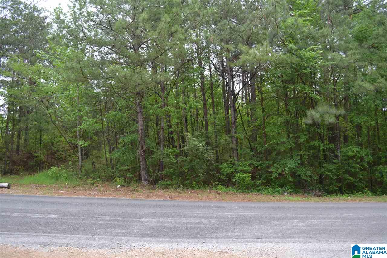 Elvester Road, Unit 1 Sumiton, AL 35148 - Photo 1 of 12