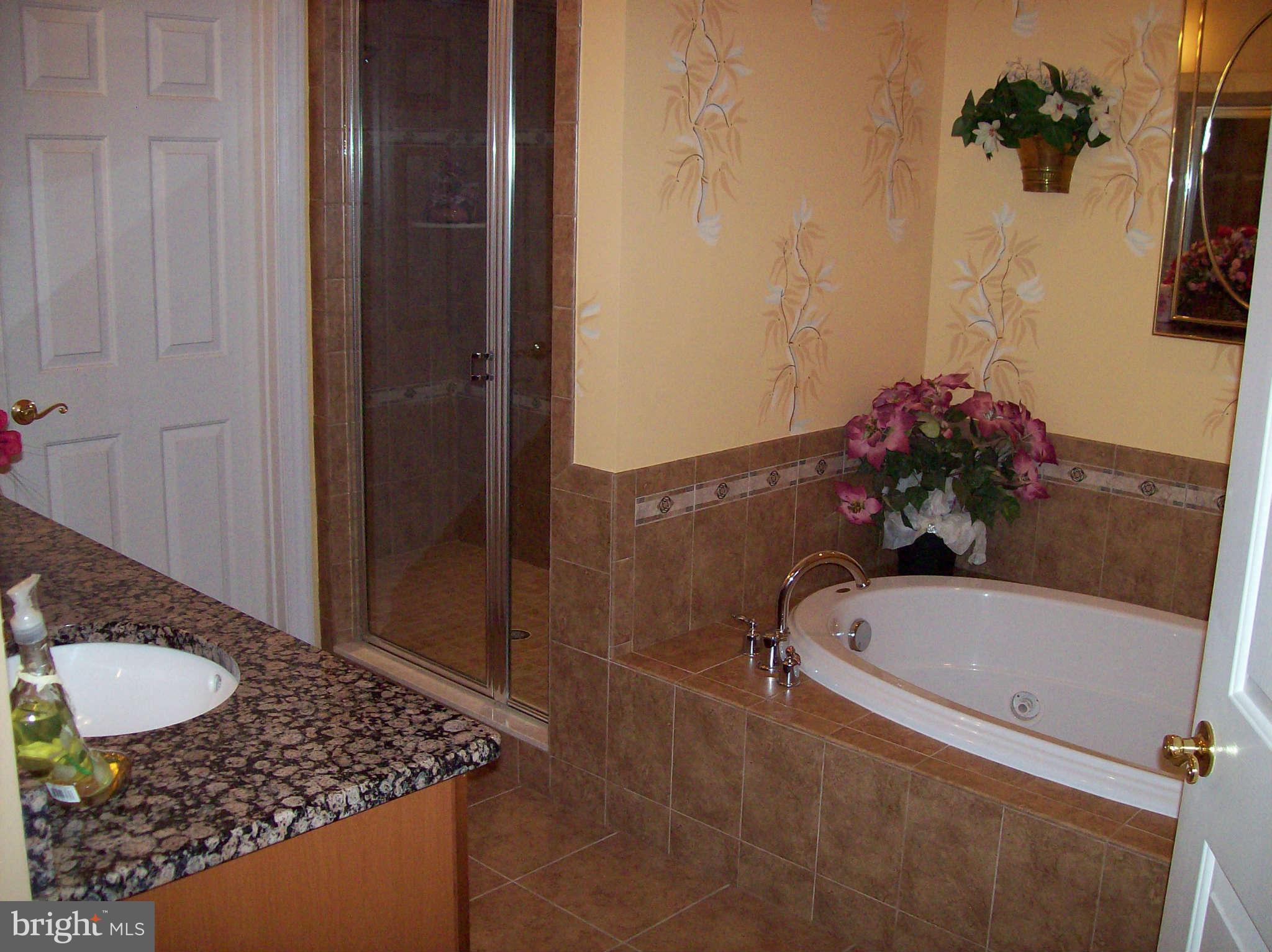 4308 Pearlberry Road Baltimore, MD 21208 - Photo 14 of 22 Bath (Master)