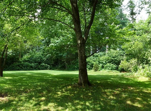 218 Oak Hollow Road Springfield, MA 01128 - Photo 29 of 30