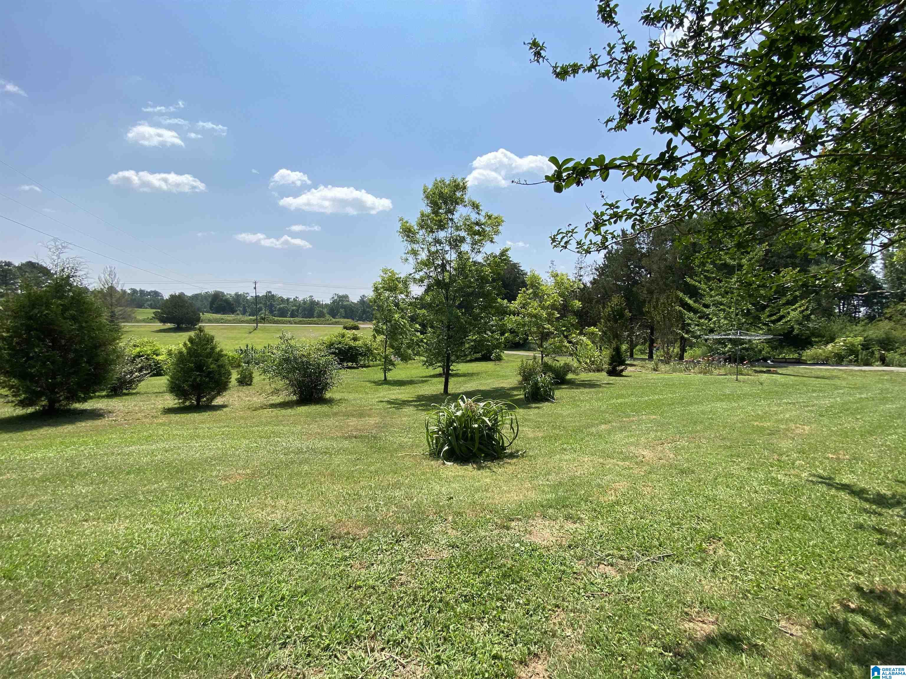 1505 Camp Creek Road Cropwell, AL 35054 - Photo 40 of 48