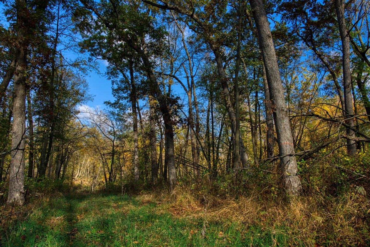 7880 East Lamont Road Argyle, WI 53504 - Photo 11 of 66