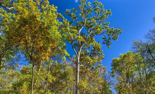 $289,000 | 7880 East Lamont Road, Argyle, WI 53504