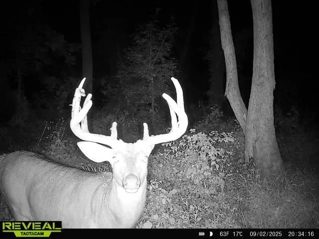 $289,000 | 7880 East Lamont Road, Argyle, WI 53504