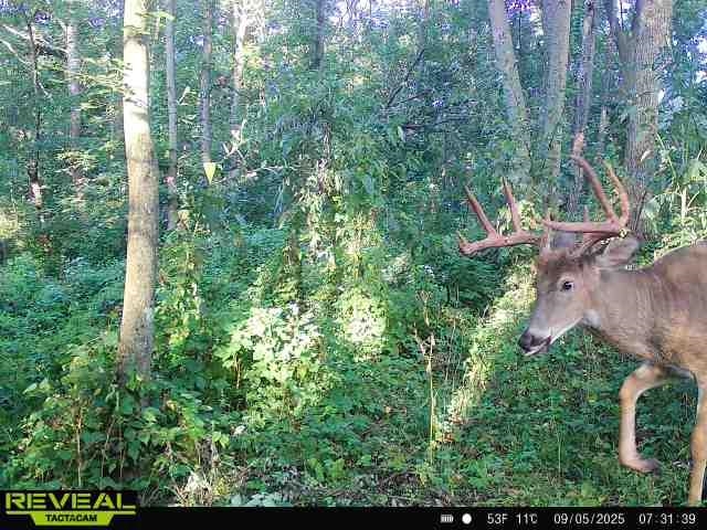 7880 East Lamont Road Argyle, WI 53504 - Photo 13 of 66