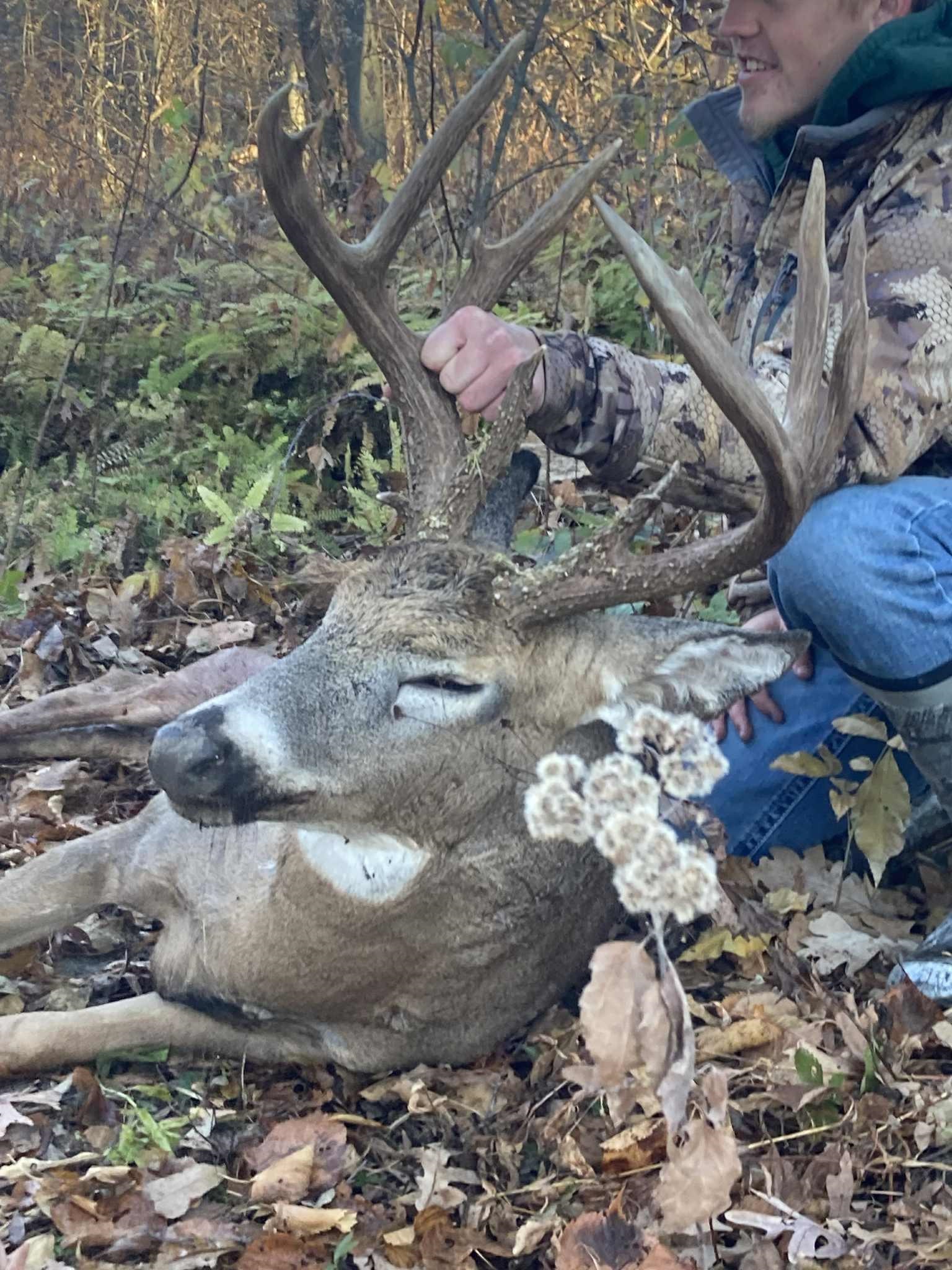 7880 East Lamont Road Argyle, WI 53504 - Photo 15 of 66