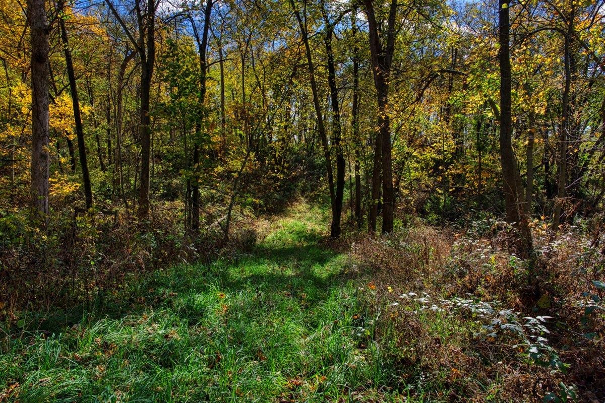 7880 East Lamont Road Argyle, WI 53504 - Photo 16 of 66