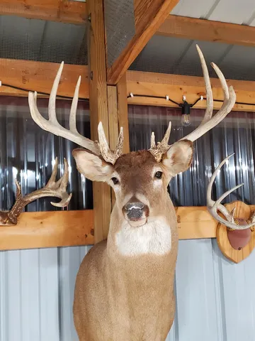 $289,000 | 7880 East Lamont Road, Argyle, WI 53504