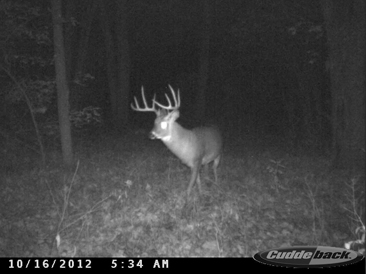 7880 East Lamont Road Argyle, WI 53504 - Photo 18 of 66