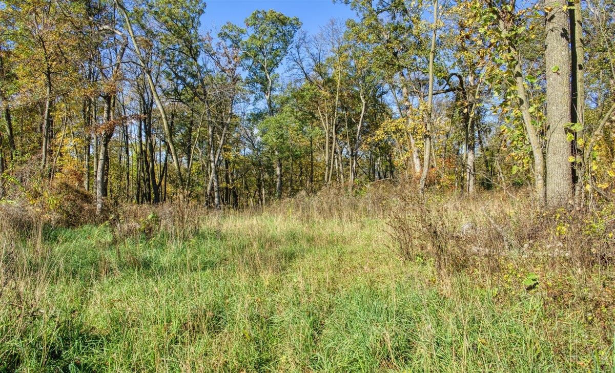 7880 East Lamont Road Argyle, WI 53504 - Photo 19 of 66