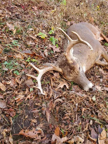 $289,000 | 7880 East Lamont Road, Argyle, WI 53504