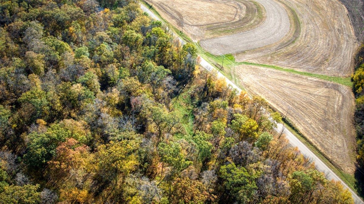 7880 East Lamont Road Argyle, WI 53504 - Photo 22 of 66