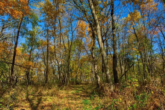 $289,000 | 7880 East Lamont Road, Argyle, WI 53504