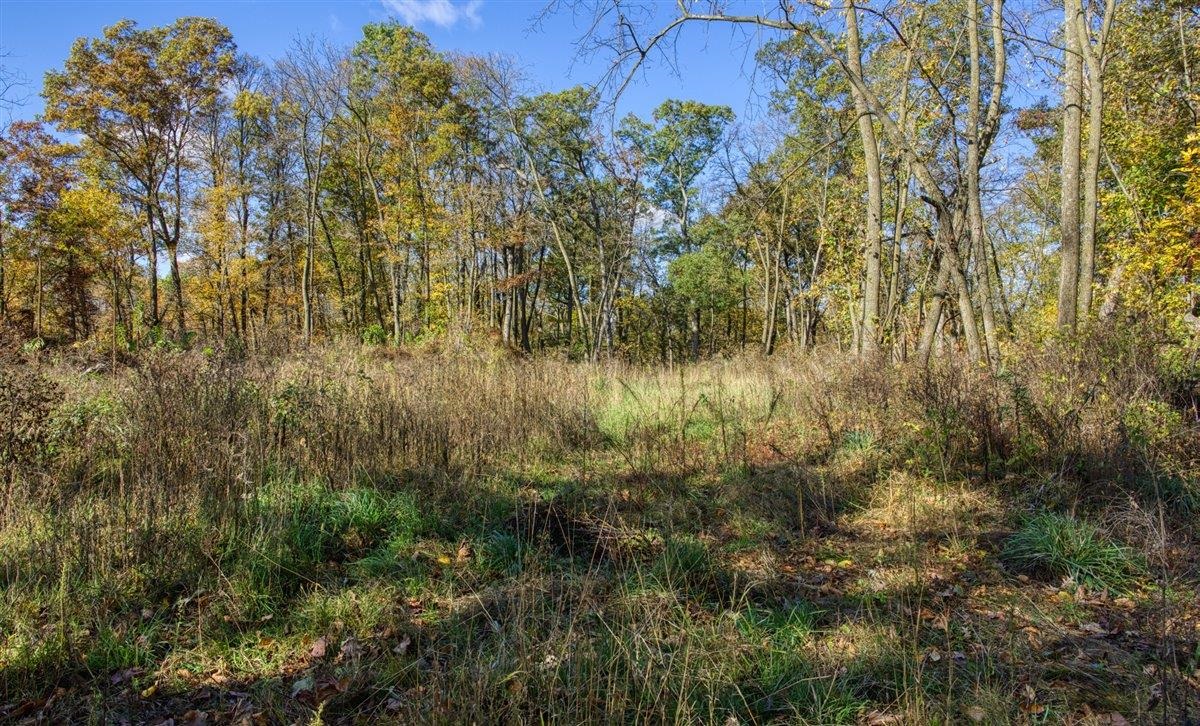 7880 East Lamont Road Argyle, WI 53504 - Photo 23 of 66