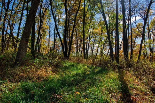 $289,000 | 7880 East Lamont Road, Argyle, WI 53504