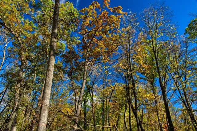 $289,000 | 7880 East Lamont Road, Argyle, WI 53504