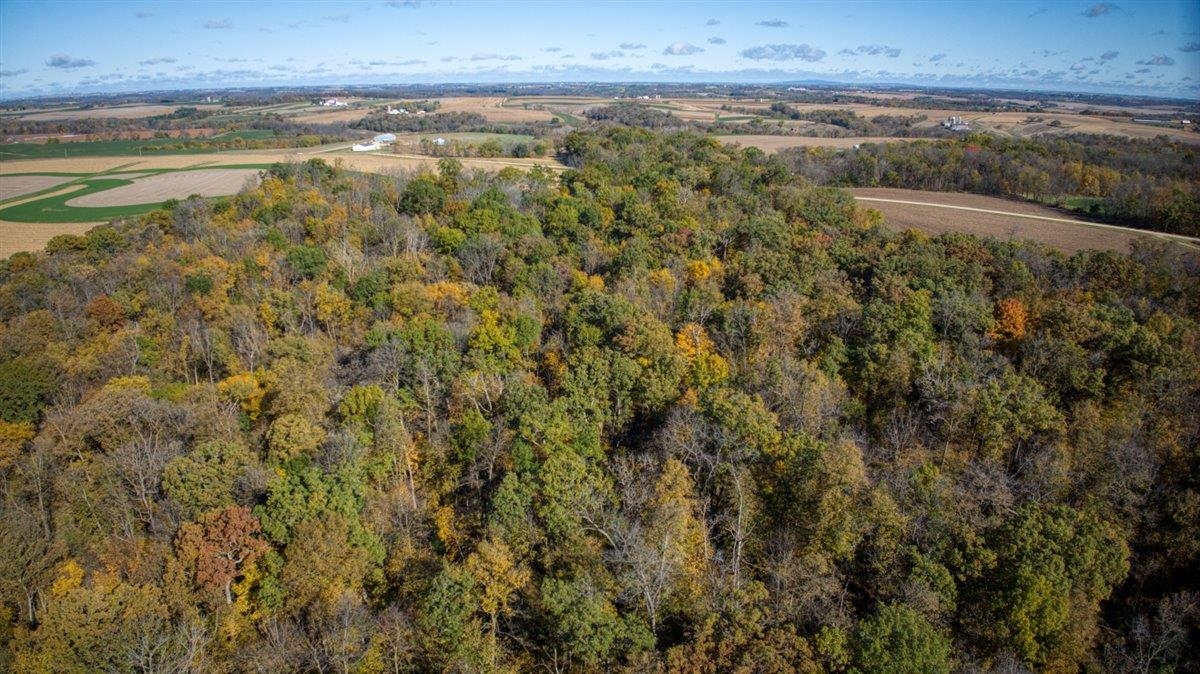 7880 East Lamont Road Argyle, WI 53504 - Photo 26 of 66