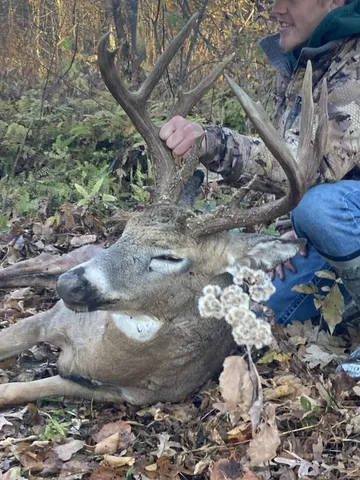 $289,000 | 7880 East Lamont Road, Argyle, WI 53504