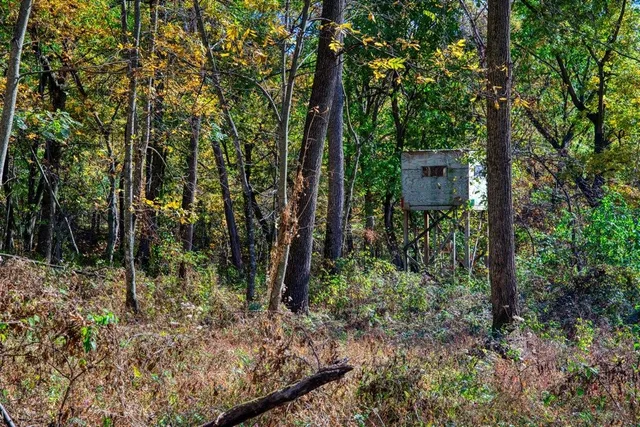 $289,000 | 7880 East Lamont Road, Argyle, WI 53504