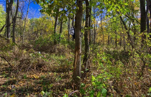 $289,000 | 7880 East Lamont Road, Argyle, WI 53504