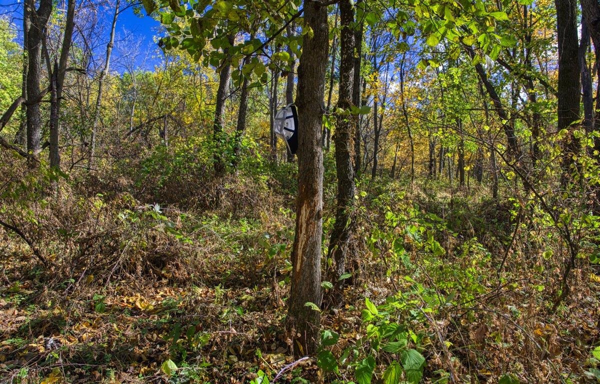 7880 East Lamont Road Argyle, WI 53504 - Photo 33 of 66