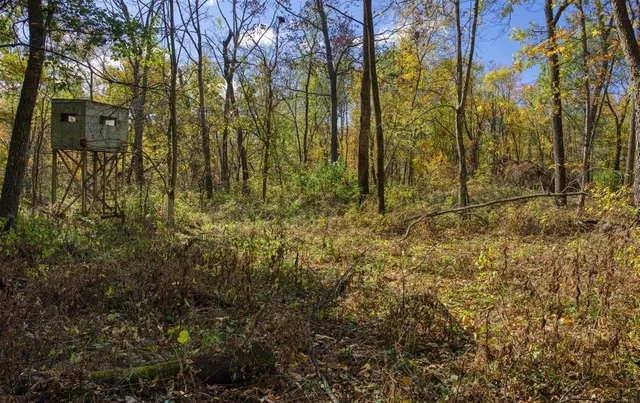 $289,000 | 7880 East Lamont Road, Argyle, WI 53504