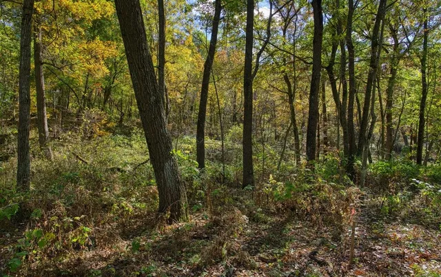 $289,000 | 7880 East Lamont Road, Argyle, WI 53504