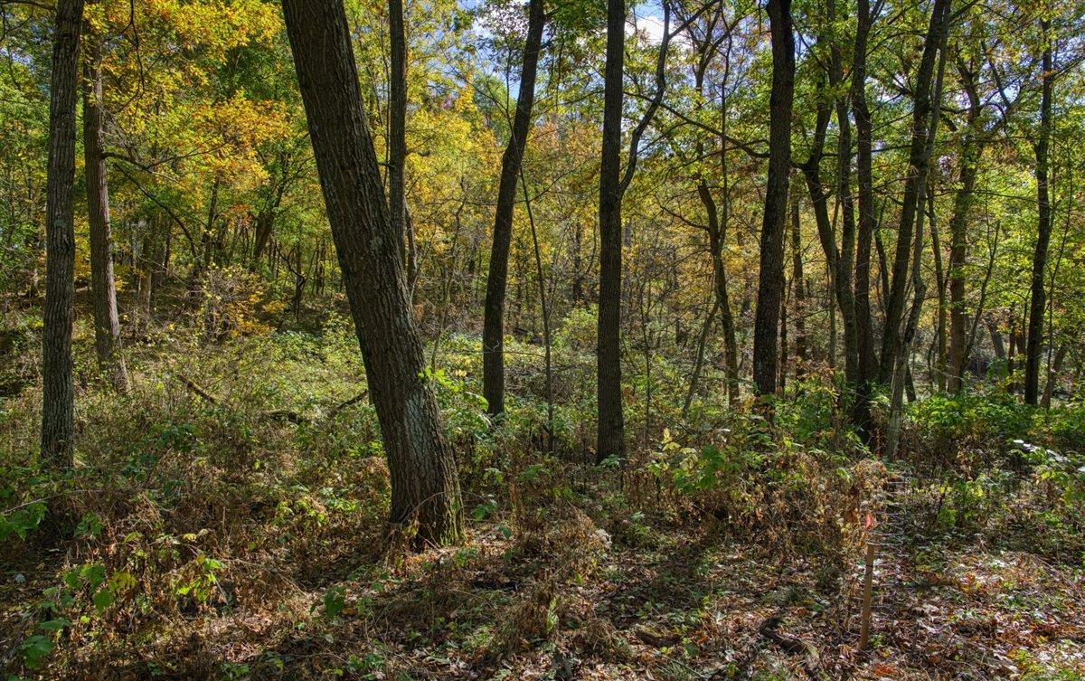 7880 East Lamont Road Argyle, WI 53504 - Photo 36 of 66