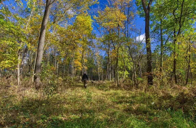 $289,000 | 7880 East Lamont Road, Argyle, WI 53504