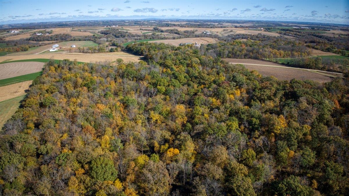 7880 East Lamont Road Argyle, WI 53504 - Photo 38 of 66