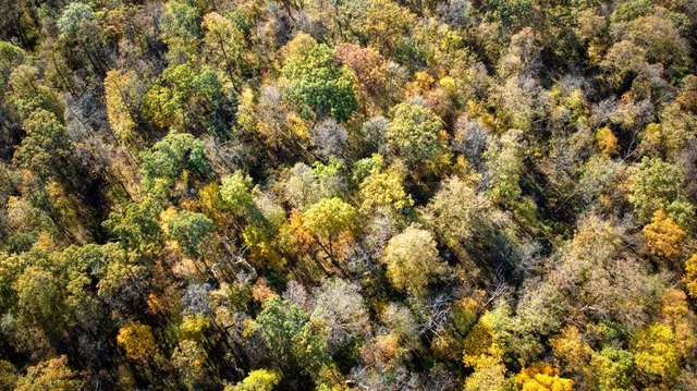 $289,000 | 7880 East Lamont Road, Argyle, WI 53504