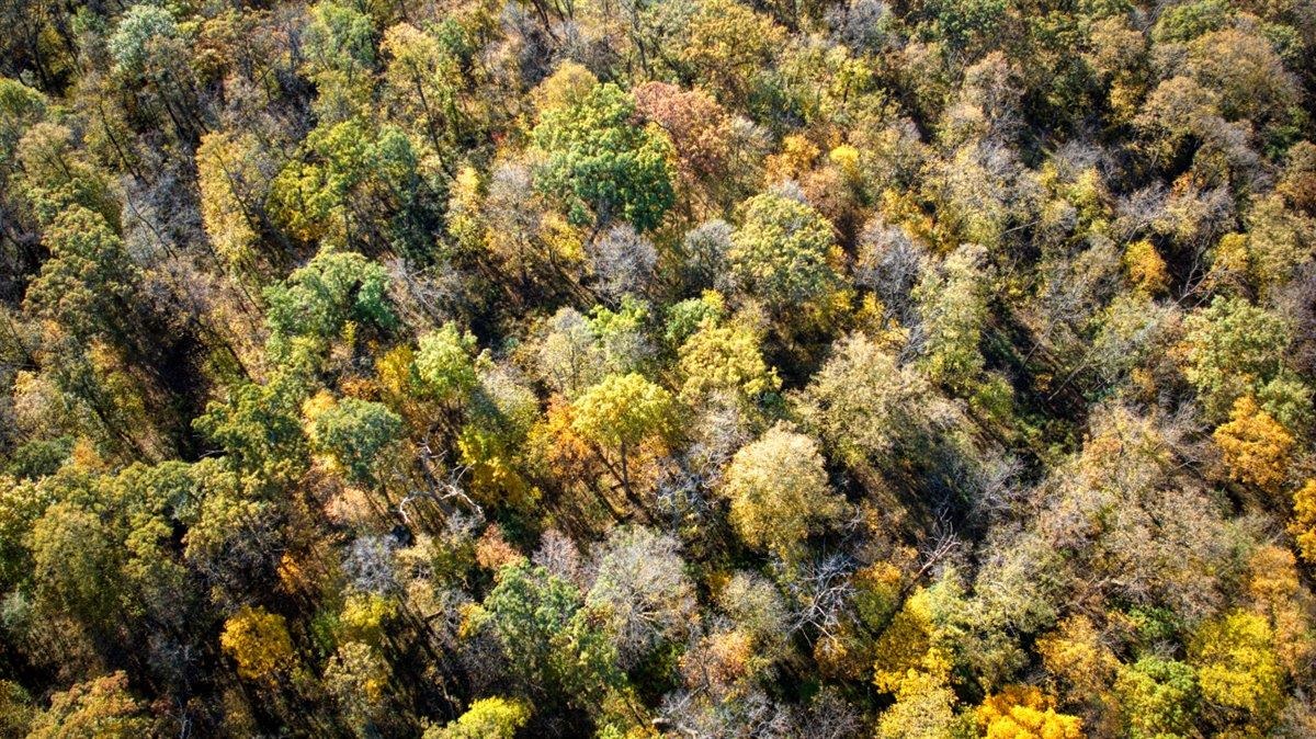 7880 East Lamont Road Argyle, WI 53504 - Photo 39 of 66