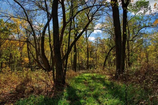 $289,000 | 7880 East Lamont Road, Argyle, WI 53504