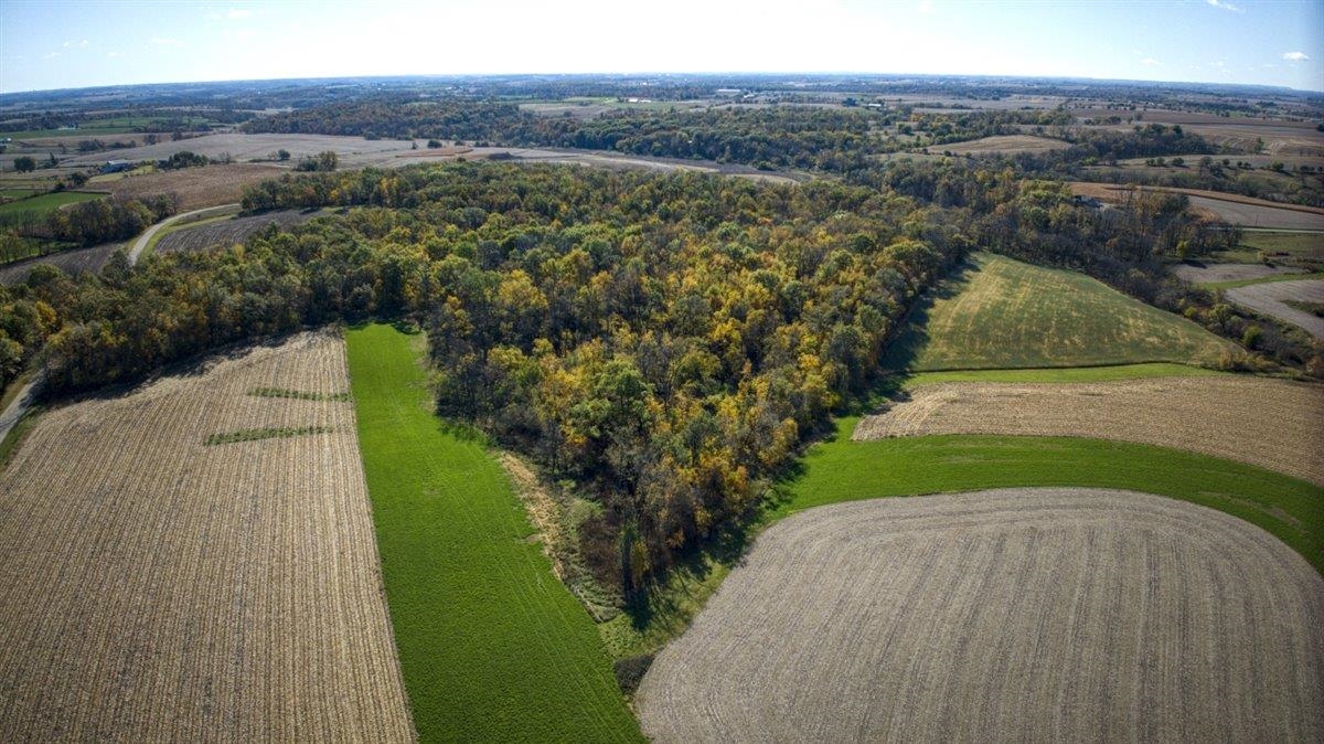 7880 East Lamont Road Argyle, WI 53504 - Photo 44 of 66