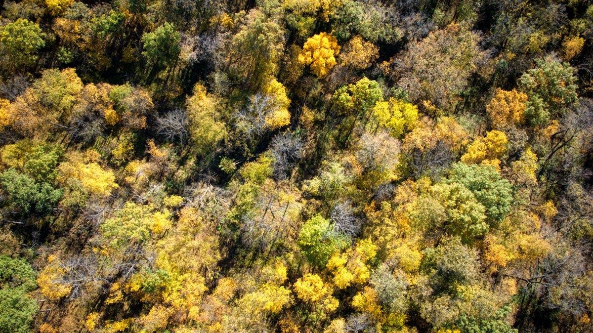 7880 East Lamont Road Argyle, WI 53504 - Photo 46 of 66