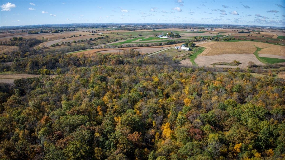 7880 East Lamont Road Argyle, WI 53504 - Photo 47 of 66