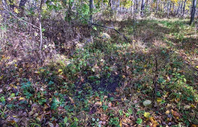 $289,000 | 7880 East Lamont Road, Argyle, WI 53504