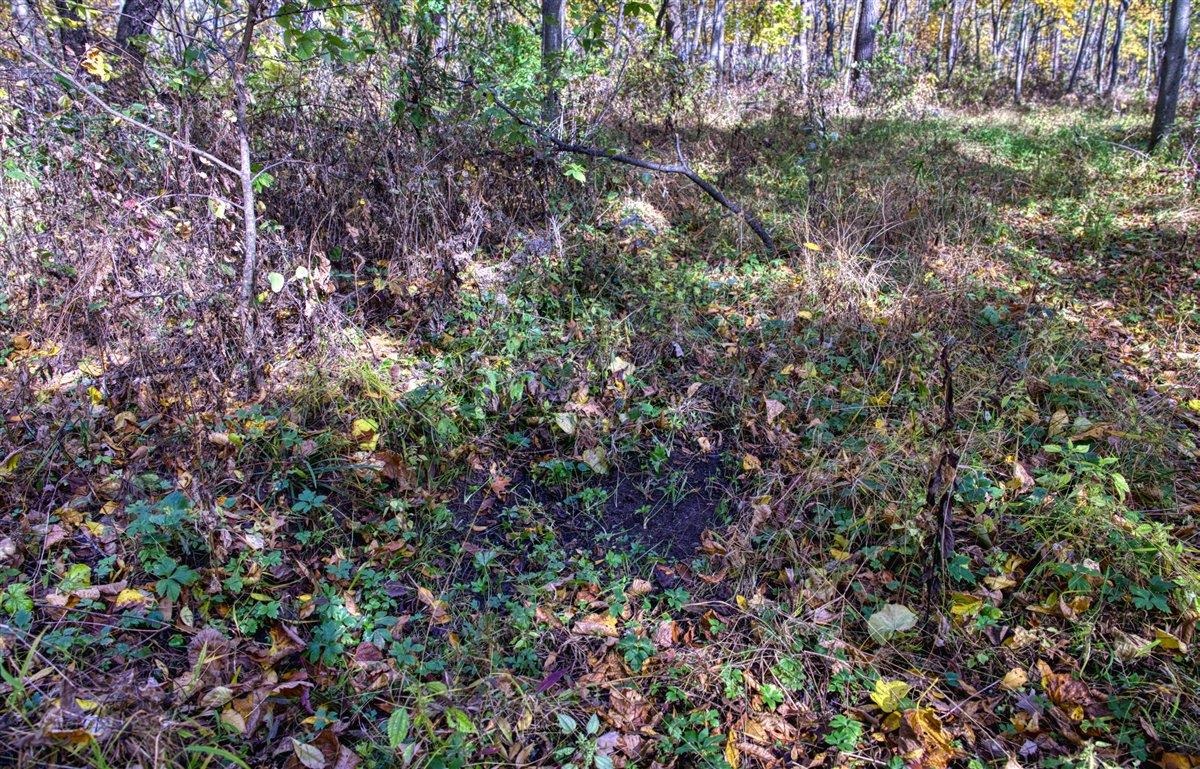 7880 East Lamont Road Argyle, WI 53504 - Photo 48 of 66