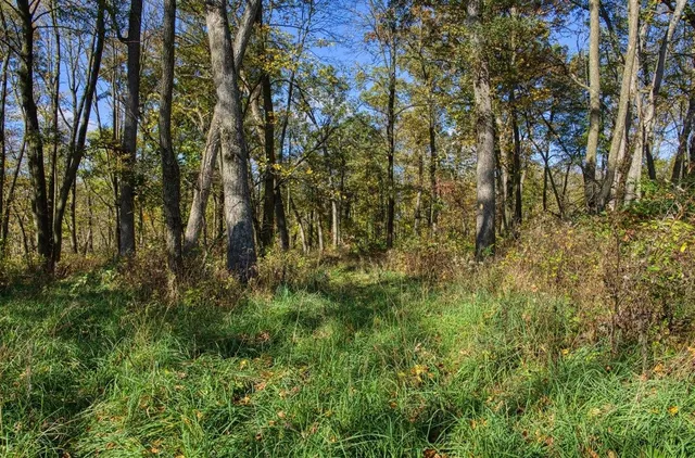 $289,000 | 7880 East Lamont Road, Argyle, WI 53504