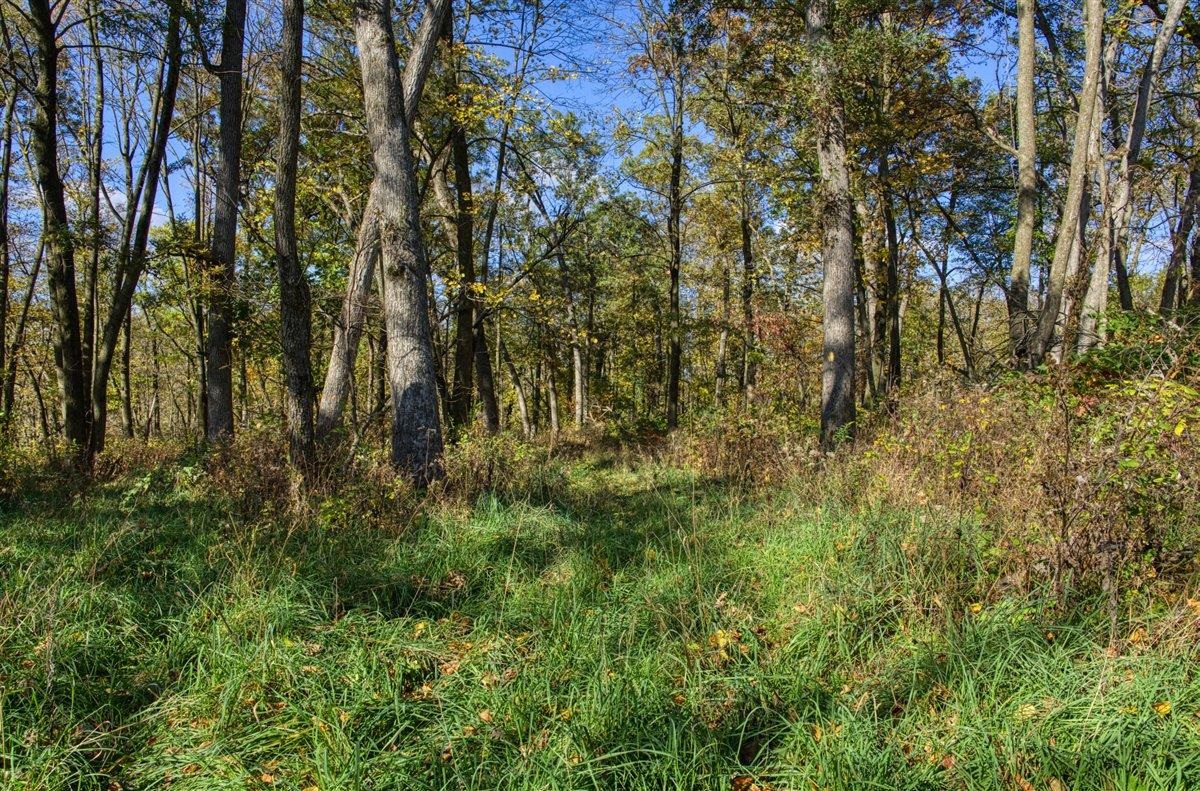 7880 East Lamont Road Argyle, WI 53504 - Photo 49 of 66