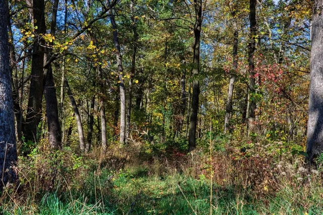 $289,000 | 7880 East Lamont Road, Argyle, WI 53504