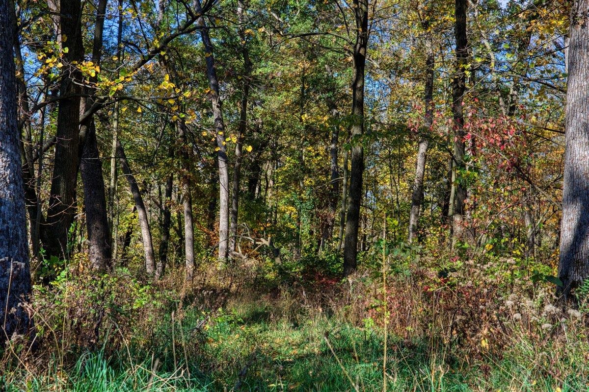 7880 East Lamont Road Argyle, WI 53504 - Photo 50 of 66