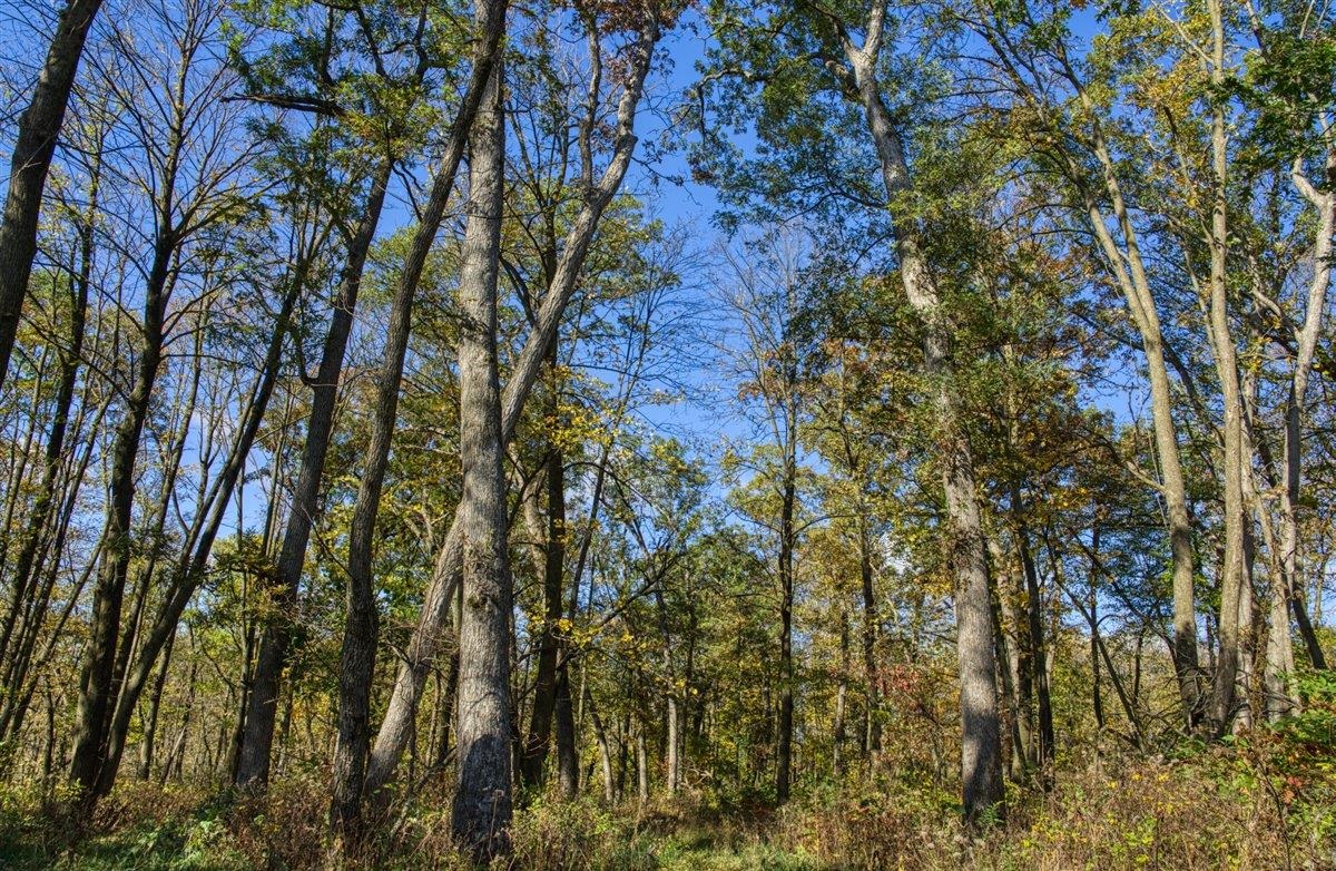 7880 East Lamont Road Argyle, WI 53504 - Photo 51 of 66