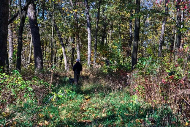 $289,000 | 7880 East Lamont Road, Argyle, WI 53504