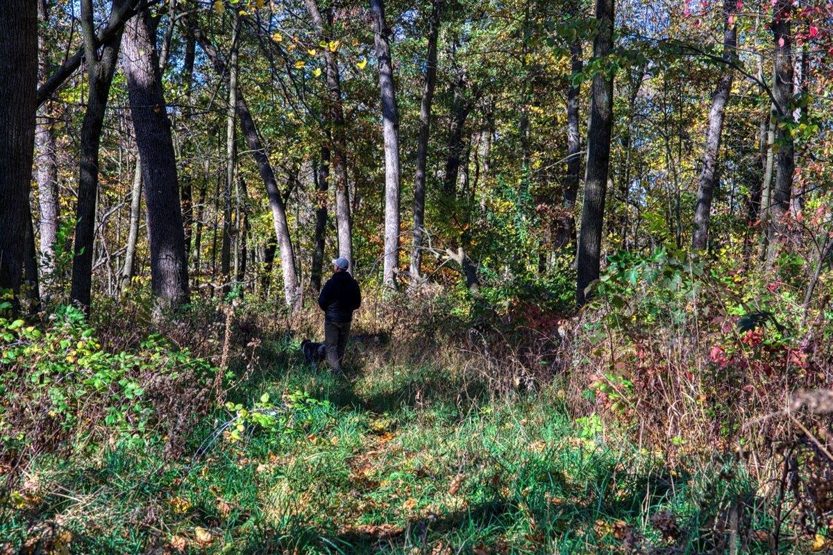 7880 East Lamont Road Argyle, WI 53504 - Photo 52 of 66