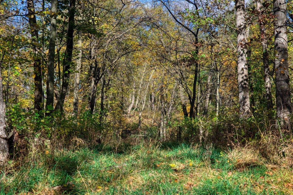 7880 East Lamont Road Argyle, WI 53504 - Photo 53 of 66